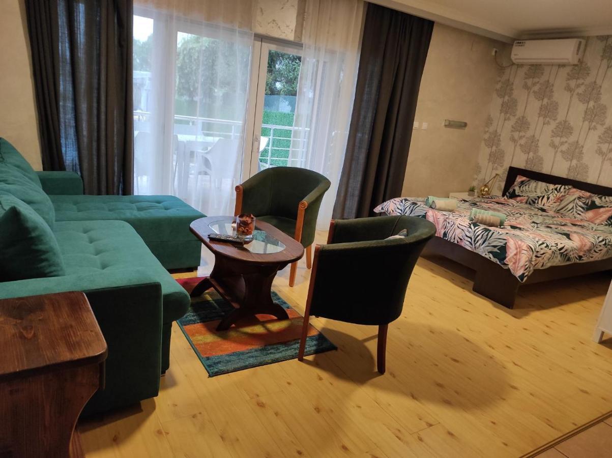 Vila Mila Riverside Apartments スメデレヴォ エクステリア 写真