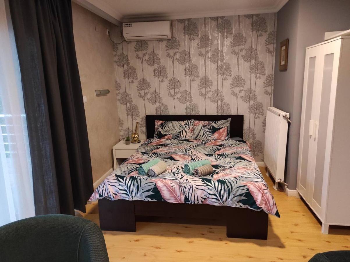 Vila Mila Riverside Apartments スメデレヴォ エクステリア 写真