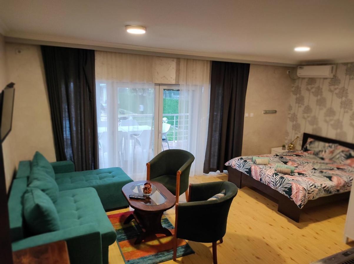 Vila Mila Riverside Apartments スメデレヴォ エクステリア 写真