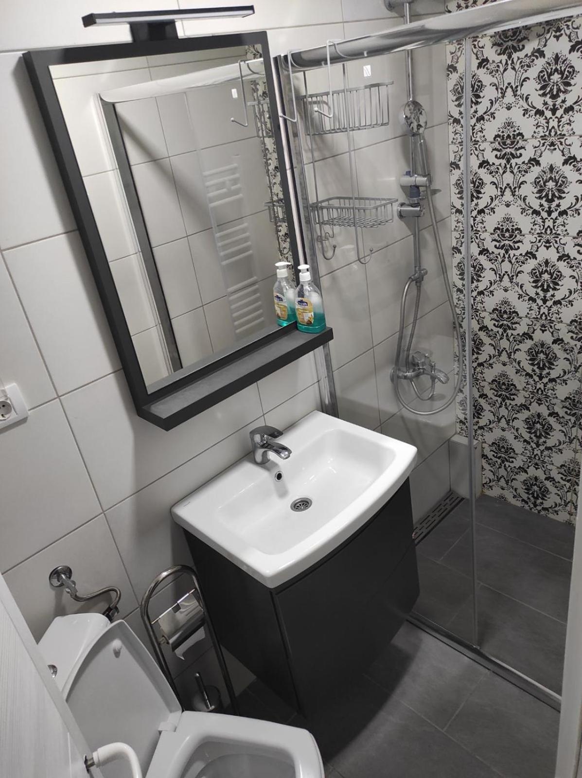 Vila Mila Riverside Apartments スメデレヴォ 部屋 写真