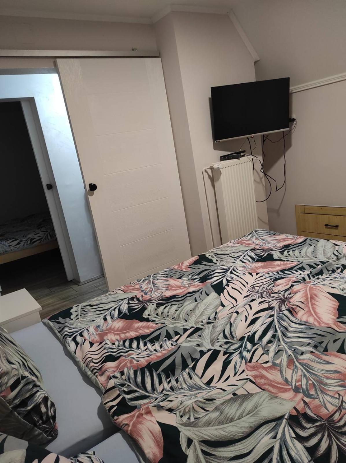 Vila Mila Riverside Apartments スメデレヴォ 部屋 写真