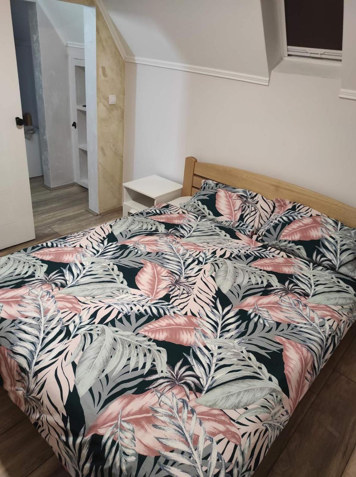 Vila Mila Riverside Apartments スメデレヴォ 部屋 写真