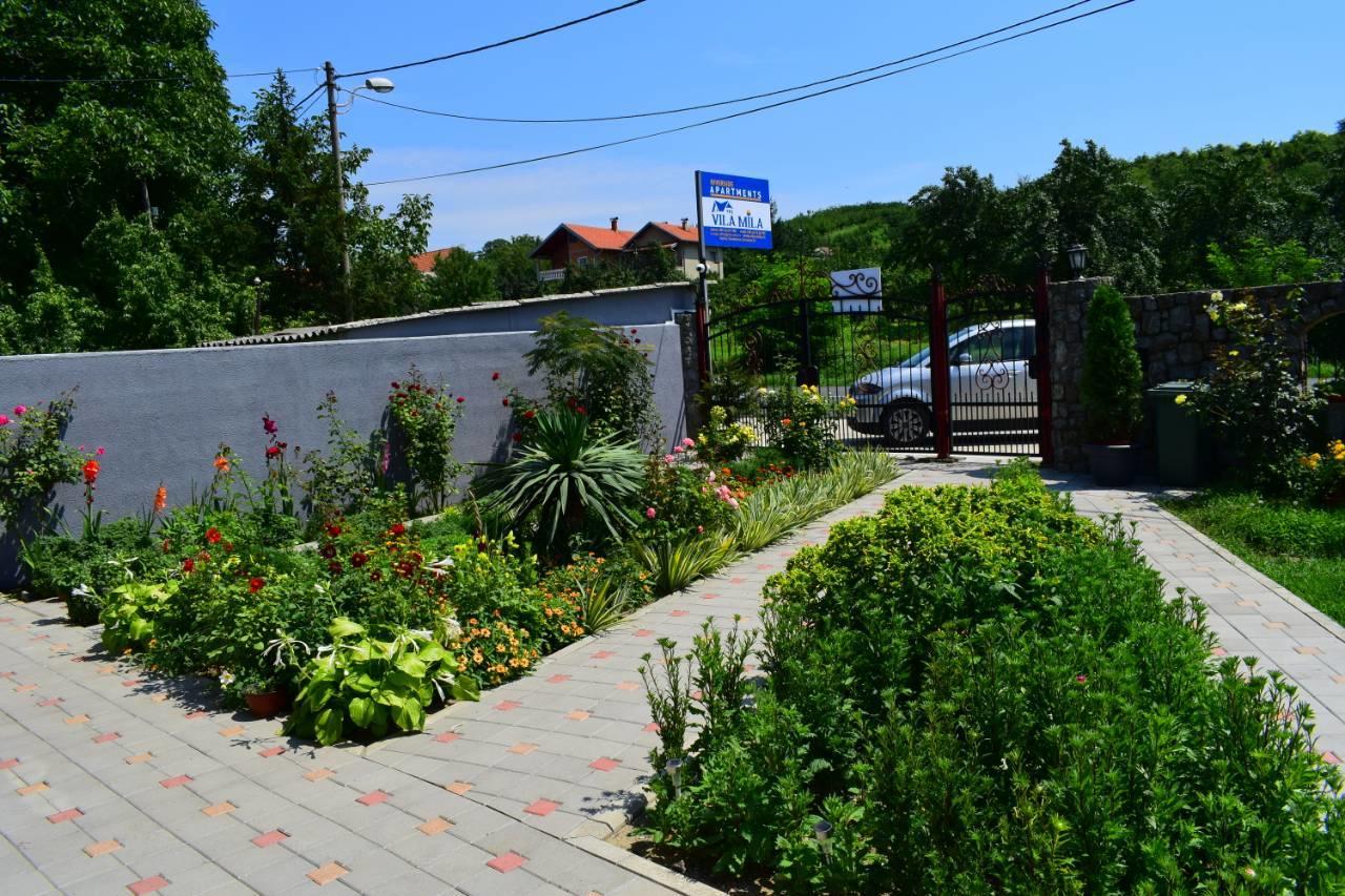 Vila Mila Riverside Apartments スメデレヴォ エクステリア 写真